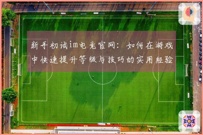 新手初试im电竞官网：如何在游戏中快速提升等级与技巧的实用经验分享