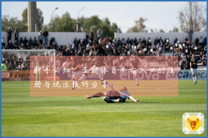 新手必知：亚新体育平台入口的注册与玩法技巧分享