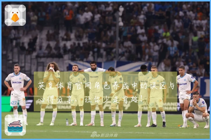 英皇体育官网角色养成中的误区与心得分享，让你少走弯路！